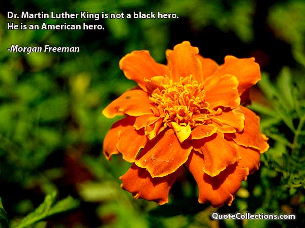 Morgan Freeman Quotes2